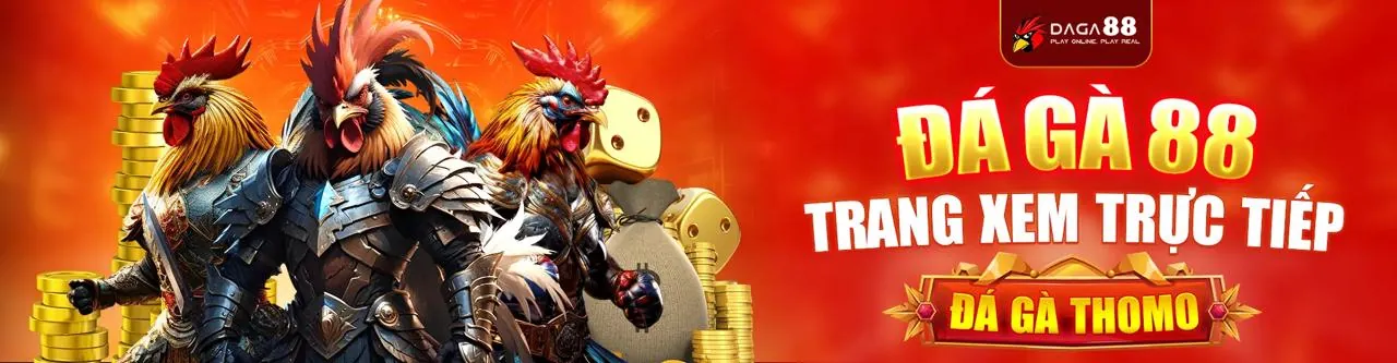 Hình ảnh đá gà trực tuyến kịch tính tại bet365vnd