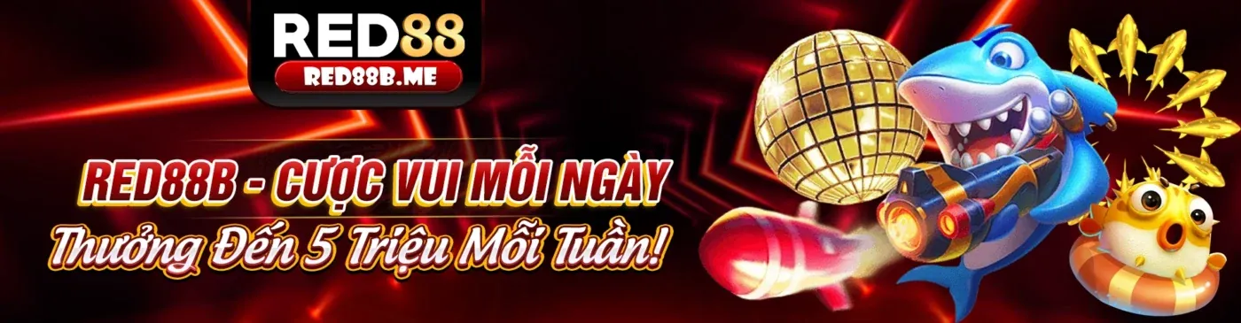 Cập nhật cá cược thể thao